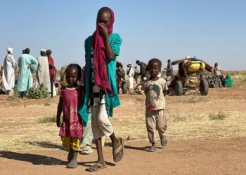 MSF warns of rising cholera cases amid new outbreak in Sudan