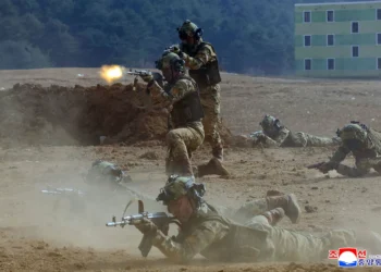 Seoul claims over 600 N. Korean troops died fighting for Russia