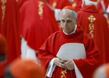 US Cardinal Prevost elected new pope, to be called Pope Leo XIV