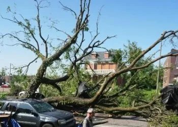 Tornado Death Toll: At Least 21 Dead in Kentucky and Missouri as Authorities Search for Survivors