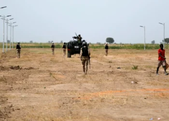 Nigerian army says 16 Boko Haram terrorists killed in Borno state