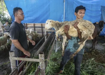 Eid al-Adha feels pinch as rising costs put damper on festivities