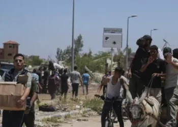 Fake News: CNN, BBC Ran Unverified Claims Israel Killed Palestinians at Aid Site