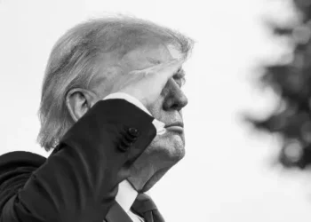 Knudsen: Despite Media Narrative, Majority Support Trump Deporting Criminal Illegals