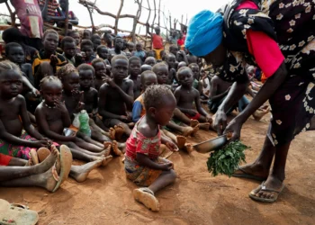 Attack on hospital in war-torn Sudan kills 40, including children