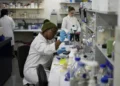 US aid cuts halt globally important S. Africa HIV vaccine research