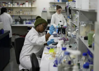 US aid cuts halt globally important S. Africa HIV vaccine research