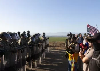 CA Professor Arrested for Allegedly Throwing Tear Gas Canister at ICE Agents During Raid on Cannabis Farm