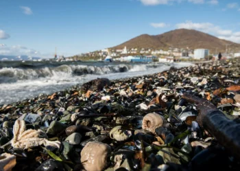 Magnitude 7.4 earthquake rattles Russia’s far east Kamchatka