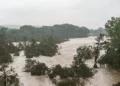 MIRACLE: Texas Man Saves Woman Found in Tree 20 Miles Downstream During Independence Day Flood
