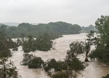 MIRACLE: Texas Man Saves Woman Found in Tree 20 Miles Downstream During Independence Day Flood