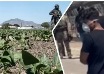 $50K Reward Offered for Man Who Allegedly Fired on Federal Agents at Marijuana Farm in California