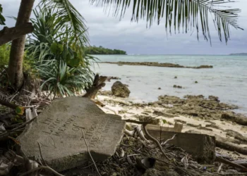 Top UN court warns climate inaction may violate international law