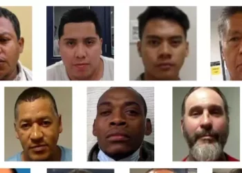 DHS Showcases Violent Illegal Aliens Arrested in Florida ICE Raids: Homicides, Sexual Assault of a Child