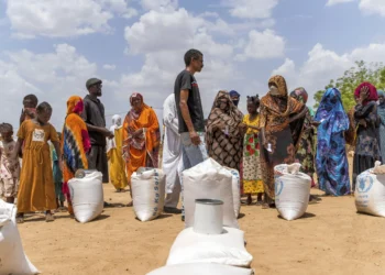 Sudan’s farmers watch livelihoods wither as war cuts power, water