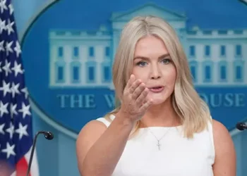 ‘Downright False’: Karoline Leavitt Torches Media over Russia-Ukraine Negotiation Coverage