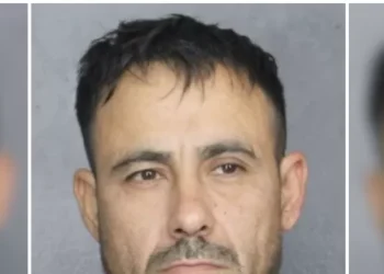 Florida: Illegal Alien Accused of Downloading Files of Child Sexual Abuse, Bestiality