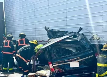 Migrant Trucker Accused of Killing 3 on Florida Turnpike Identified