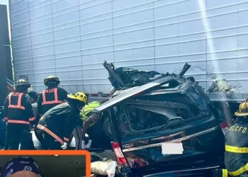 Report: Illegal Trucker Behind Fatal U-Turn Failed English Language Test