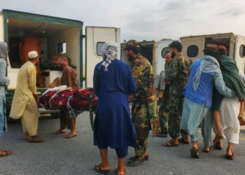 Magnitude 6.0 earthquake kills over 800 in eastern Afghanistan