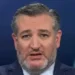 Cruz: Pritzker Is a ‘Disgusting, Racist Bigot’