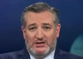 Cruz: Pritzker Is a ‘Disgusting, Racist Bigot’