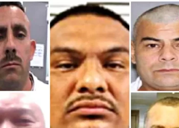 ICE Agents Arrest Convicted Killers, Sex Offenders, Robbers Across U.S.