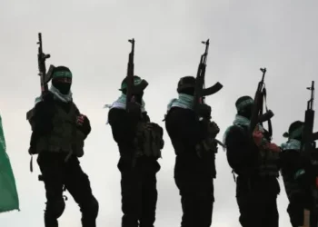 Report: Hamas Agrees to Ceasefire in Gaza, May Release All Hostages