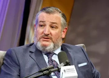 Ted Cruz: If Rep. Ilhan Omar Married Her Brother, She Broke State and Federal Laws