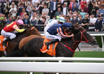 Lion can chase tails of Warrior and Bubble in Stewards’ Cup