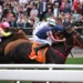 Lion can chase tails of Warrior and Bubble in Stewards’ Cup