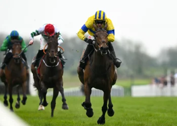 Spindleberry’s a ripe pick for historic Gold Cup double