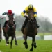 Spindleberry’s a ripe pick for historic Gold Cup double