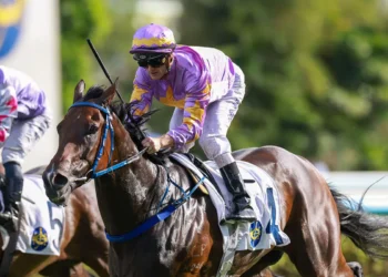 Paradise worthy of Attention in Hong Kong Classic Mile