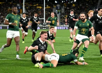 Springboks and All Blacks to play Test rugby in Baltimore, United States