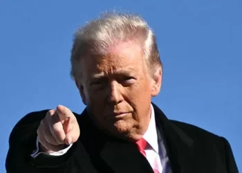 Exclusive — Rep. Mark Harris: Trump Leading on Law and Order, Great Healthcare Plan Makes Him ‘Bullish’ on Midterm Elections