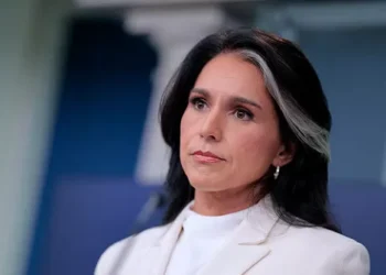 Exclusive: Spy Chief Tulsi Gabbard Visited Fulton County Election Site to Ensure ‘Integrity of Our Elections’