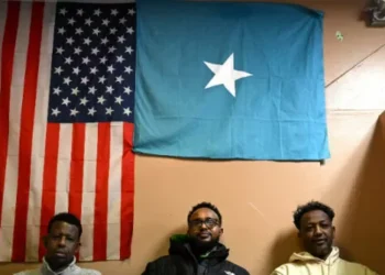 Database Searches Show Somali Fraudsters Funding Democrat Politicians