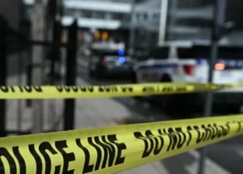 U Visas: Another Path to Citizenship Illegal Migrants Have Mired in Fraud and Abuse, Report Says