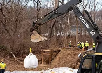 D.C. Swamp: Sewage Spill That Polluted Potomac River with E. coli One of the Largest in U.S. History
