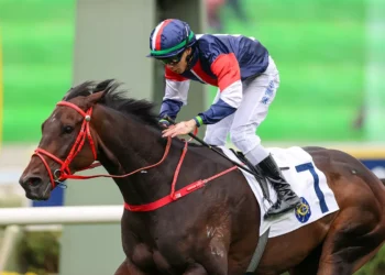 Numbers can Slam rivals in Classic Cup