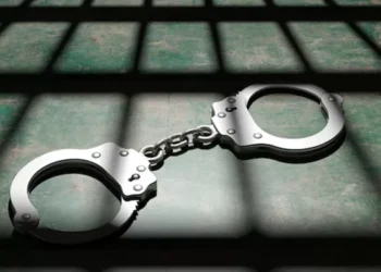 Life Imprisonment For Springs Woman Who Stabbed Boyfriend After Plying Him With Alcohol