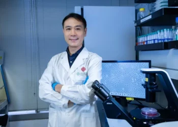 PolyU develops novel antibody targeting fat cell protein, offering new approach to treating metabolism-related liver cancer
