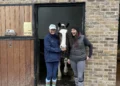 A cup of tea, a horse and a reason to keep going: Inside Teddington’s best-loved stables