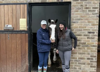 A cup of tea, a horse and a reason to keep going: Inside Teddington’s best-loved stables