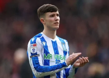 Sheffield Wednesday: New buyers sought after £40m takeover collapses