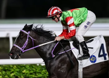 Back Dragon to rise to the Top in Year of the Horse Cup