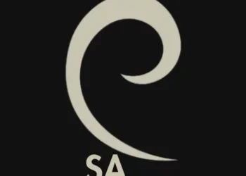 Lever Style Reports Full Year 2025 Financial Results