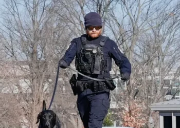 DC Police: Man with Shotgun Runs Toward Capitol, Gets Arrested