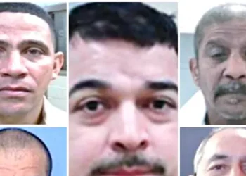 ICE Agents Arrest Child Predators, Rapists as Democrats Refuse to Stand for Americans Over Illegals